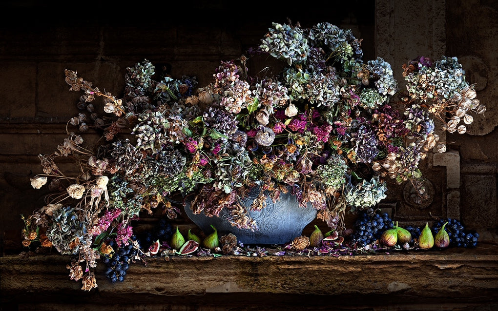 Figs and Hydrangeas